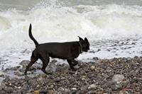 Cjp_2010_04_14_132934 (2).jpg